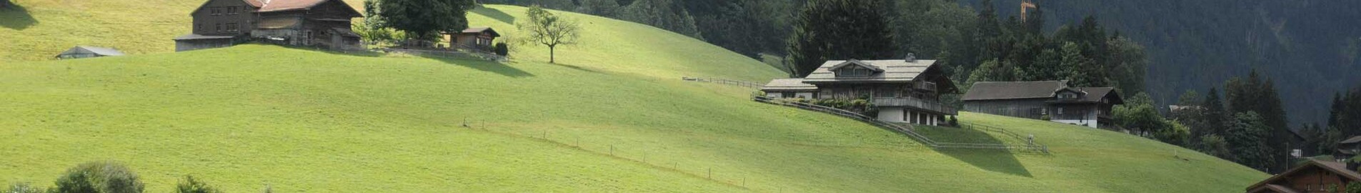 Paříž - Gstaad : pronájem soukromého letadla 