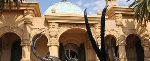 Johannesburg : pronájem soukromého letadla 