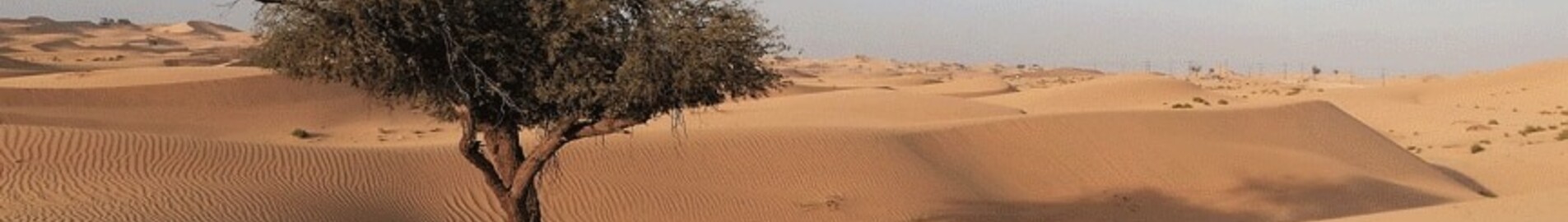 Abu Dhabi: pronájem soukromého letadla 