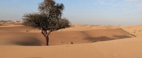 Abu Dhabi: pronájem soukromého letadla 