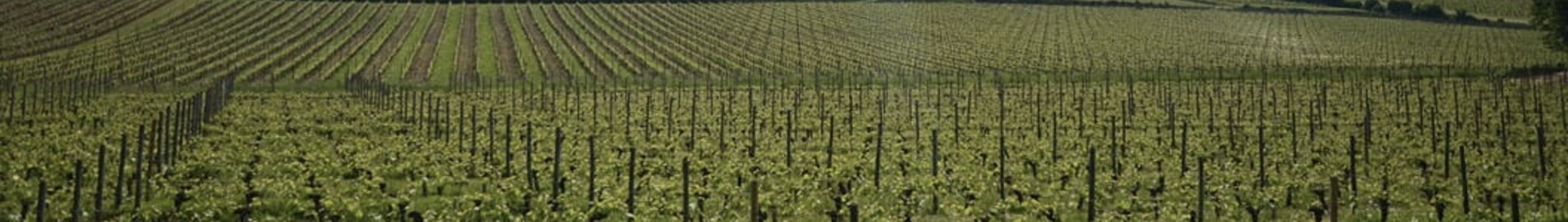 Bordeaux Mérignac: pronájem soukromého letadla 
