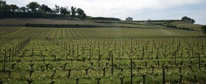 Bordeaux Mérignac: pronájem soukromého letadla 