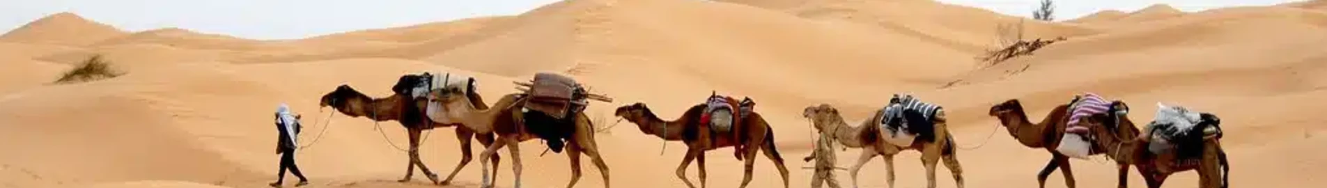 Tunis: pronájem soukromého letadla