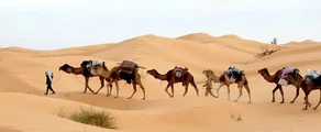 Tunis: pronájem soukromého letadla