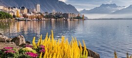 Saint-Moritz - Lugano : pronájem soukromého letadla