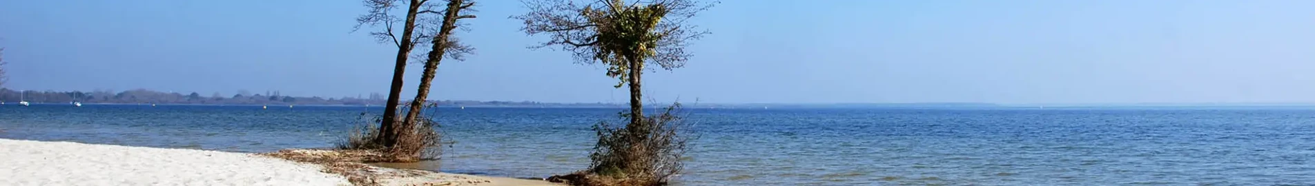 Base Aérienne Cazaux: pronájem soukromého letadla 