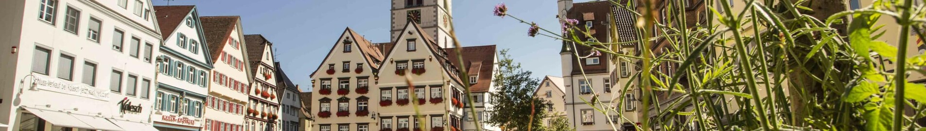 Biberach An Der Riss : pronájem soukromého letadla 