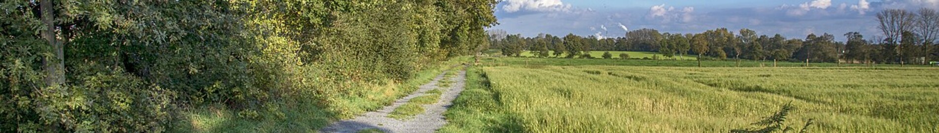 Dinslaken Schwarze Heide: location de jet privé 