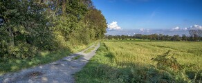 Dinslaken Schwarze Heide: location de jet privé 