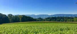 Davos : pronájem soukromého letadla 