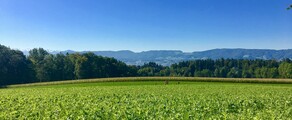 Dubendorf: pronájem soukromého letadla 