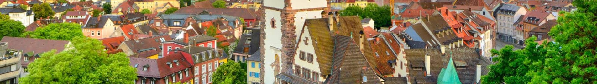 Freiburg-en-Brisgau: pronájem soukromého letadla 