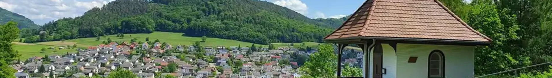 Lahr Schwarzwald: pronájem soukromého letadla 