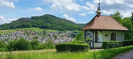 Binsfeld Spangdahlem : pronájem soukromého letadla 