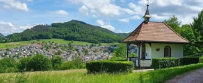 Lahr Schwarzwald: pronájem soukromého letadla 