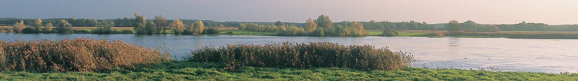 Neuhardenberg Wriezen: location de jet privé 