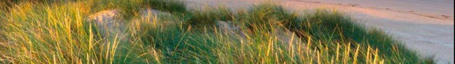 Pembrey: pronájem soukromého letadla 