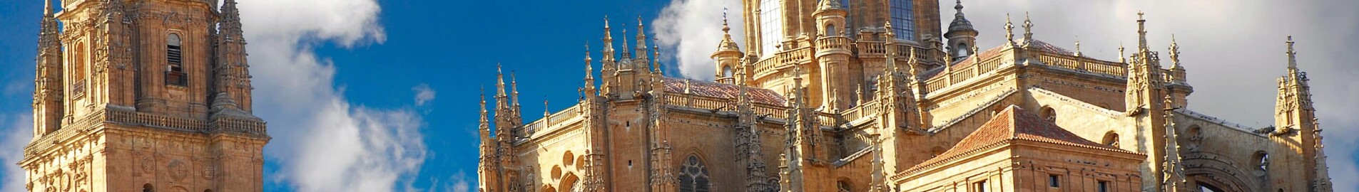 Salamanca Matacan : pronájem soukromého letadla 