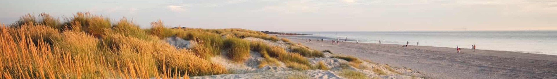 Wittering : pronájem soukromého letadla 