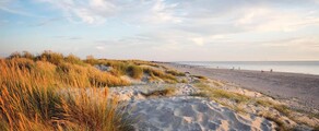 Wittering : pronájem soukromého letadla 
