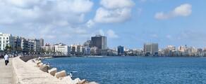 Alexandria Army : pronájem soukromého letadla 