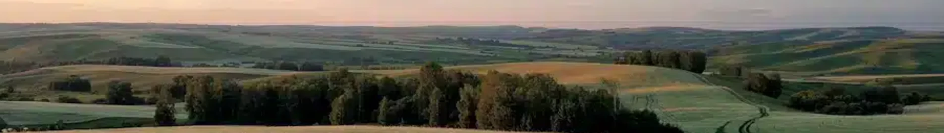 Barnaul : pronájem soukromého letadla
