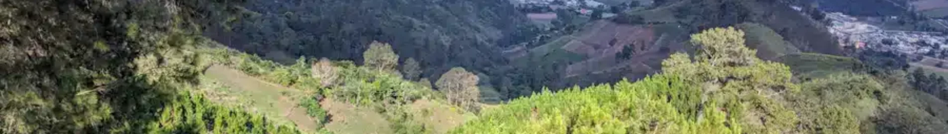 Constanza : pronájem soukromého letadla