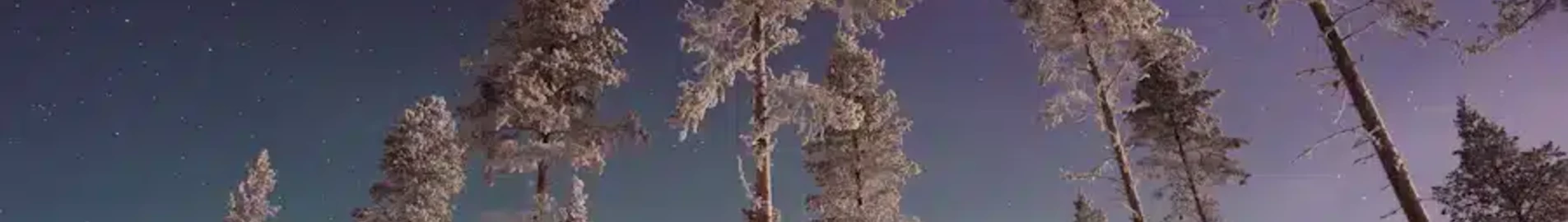 Gallivare Lapland : pronájem soukromého letadla