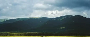 Gelendžik : pronájem soukromého letadla