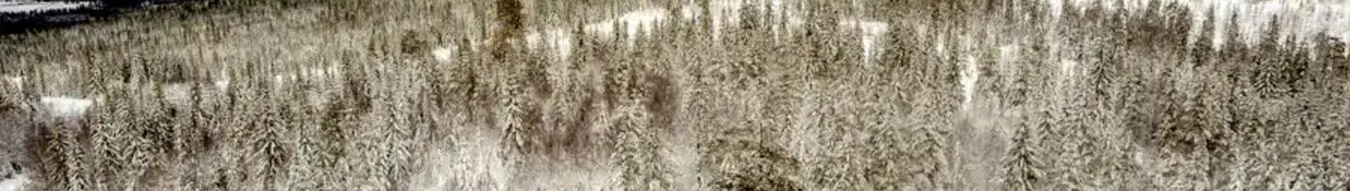 Hagfors : pronájem soukromého letadla