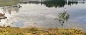 Halli: pronájem soukromého letadla
