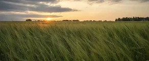 Kemerovo : pronájem soukromého letadla