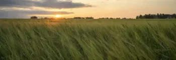Maykop : location de jet privé