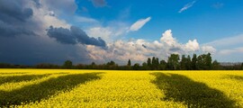 Kyjev Žuljany : pronájem soukromého letadla 