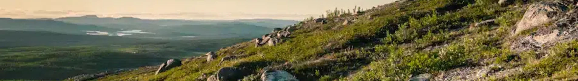 Kiruna : pronájem soukromého letadla