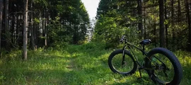 Yuzhny : pronájem soukromého letadla