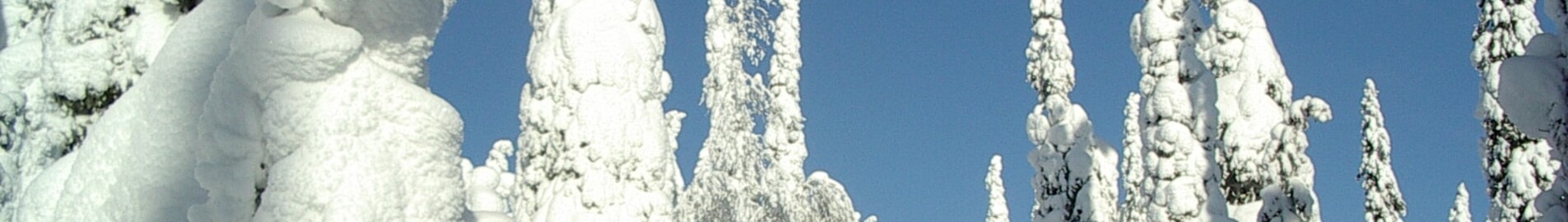 Kuusamo : pronájem soukromého letadla 
