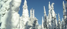 Kouvola Utti : pronájem soukromého letadla 