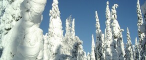 Kuusamo : pronájem soukromého letadla 