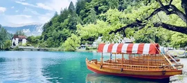 Portorož : pronájem soukromého letadla