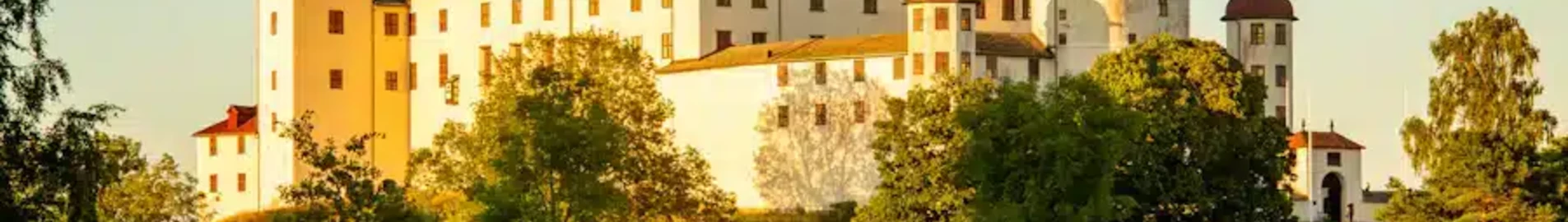 Lidkoping : pronájem soukromého letadla
