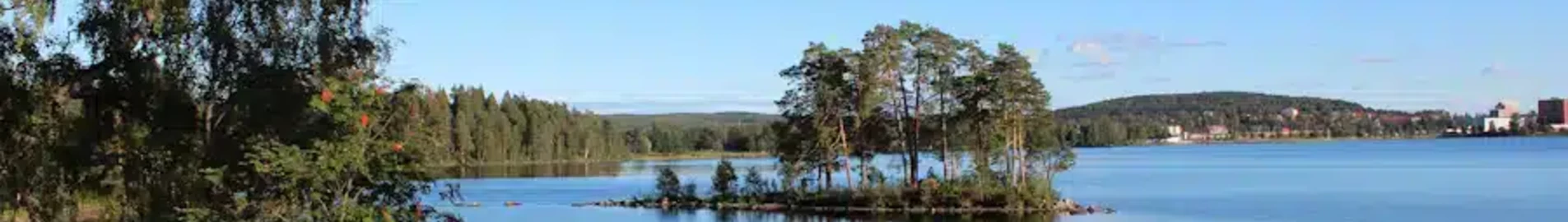 Ludvika: pronájem soukromého letadla