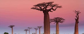 Madagaskar : Pronájem soukromého letadla