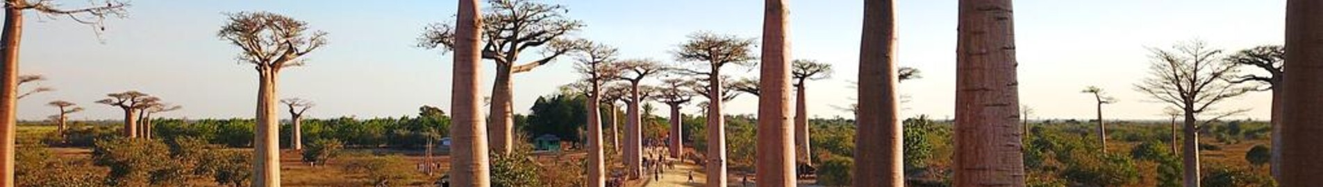 Morondava : pronájem soukromého letadla