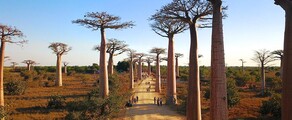 Morondava : pronájem soukromého letadla