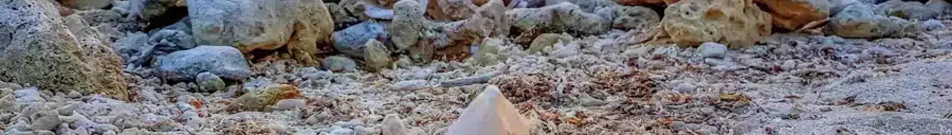 Mustique : pronájem soukromého letadla