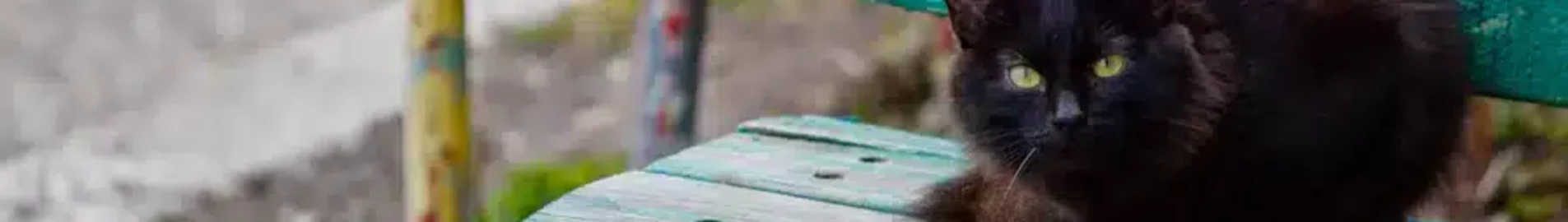 Nižněkamsk Begishevo : pronájem soukromého letadla