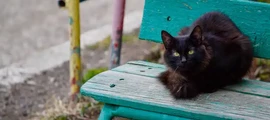 Nalčik : pronájem soukromého letadla