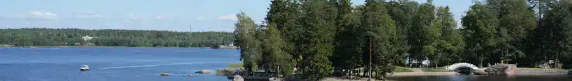 Platov: pronájem soukromého letadla