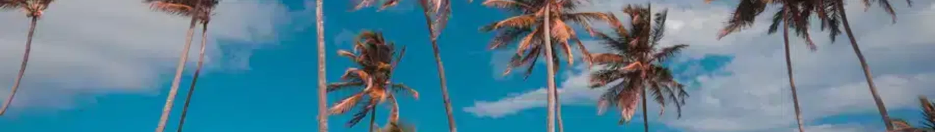 Punta Cana: pronájem soukromého letadla